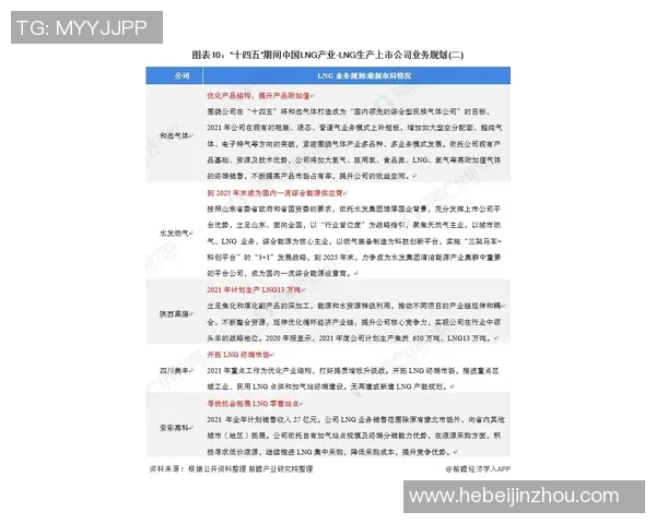 深度分析LNG产业链运营策略与市场动态解析