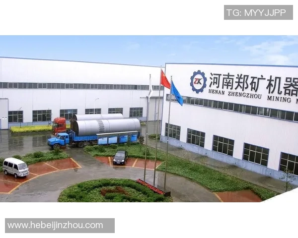 上海飞盘队的转型之路与未来发展展望解析